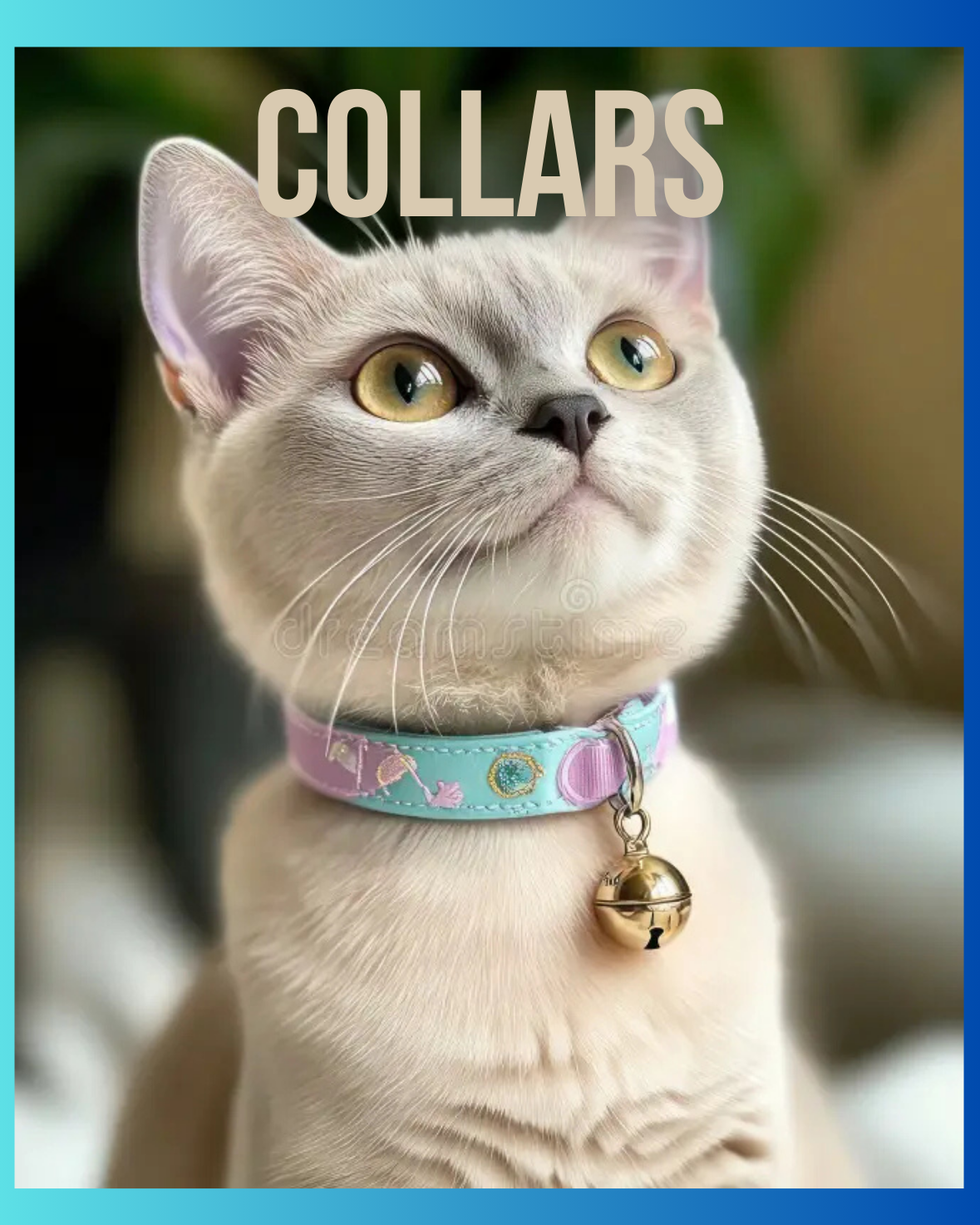 Collars
