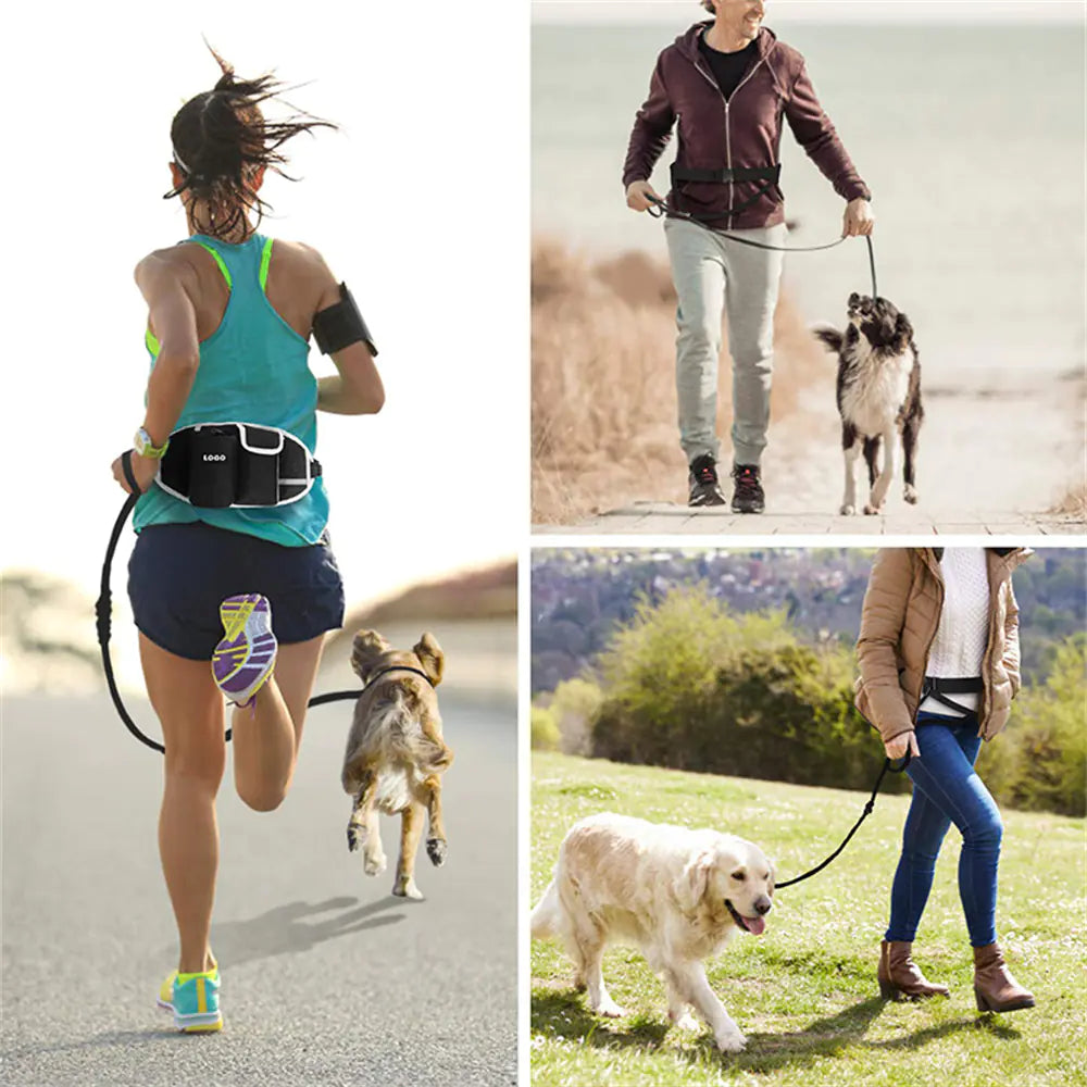 Fenya™ Hands-Free Dog Training Leash with Waist Bag Storage — Run, Walk & Train Comfortably | Multi-Pocket Outdoor Design