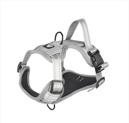 Fenya™ Reflective Dog Harness with Leash — Durable Polyester