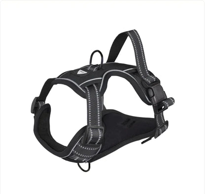 Fenya™ Reflective Dog Harness with Leash — Durable Polyester