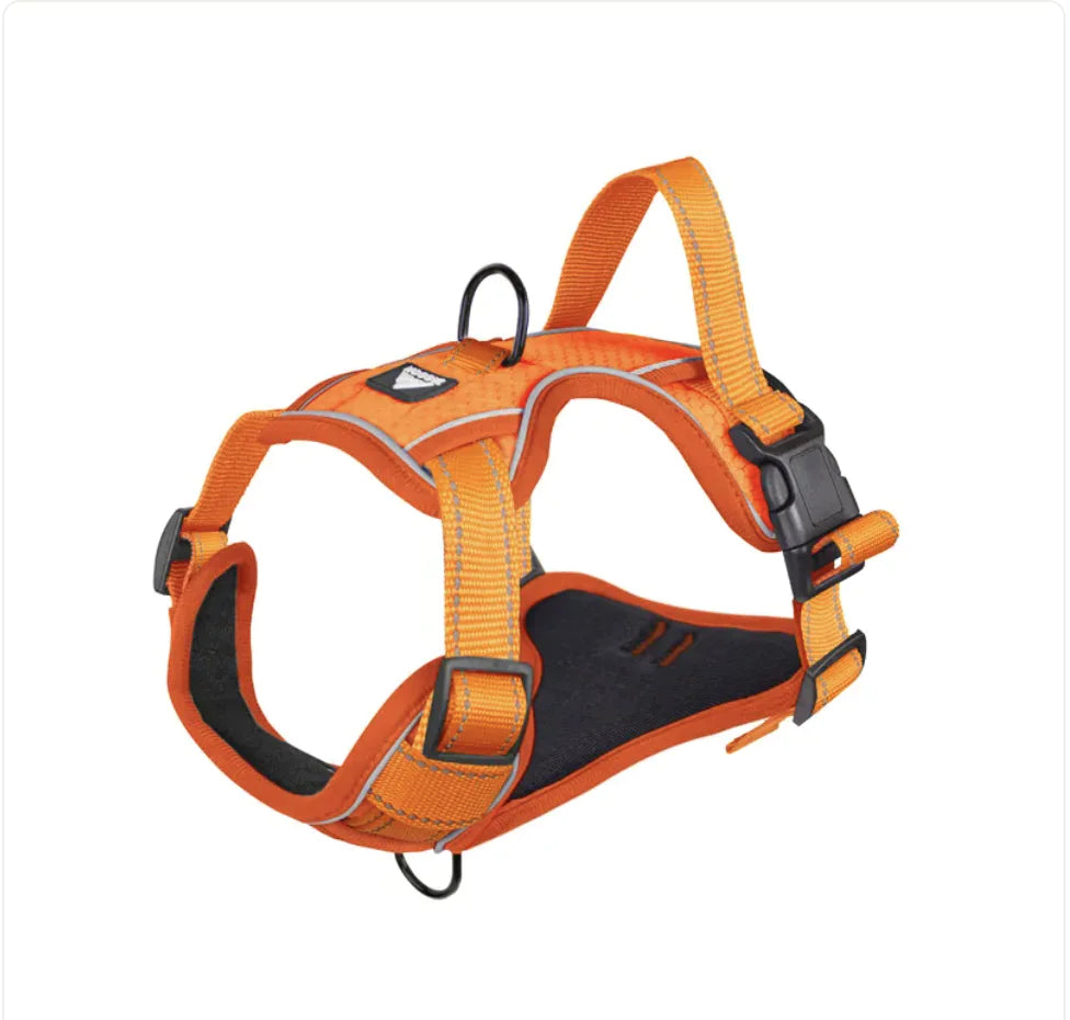 Fenya™ Reflective Dog Harness with Leash — Durable Polyester