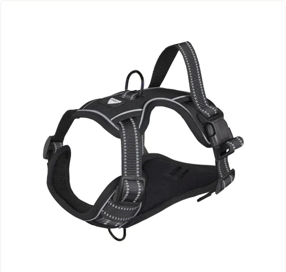 Fenya™ Reflective Dog Harness with Leash — Durable Polyester
