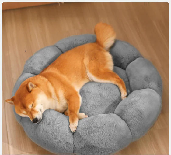 Calming Indoor Pet Bed — Fluffy Flower Plush Donut Cuddler for Cats & Small Dogs | Non-Slip, Machine Washable